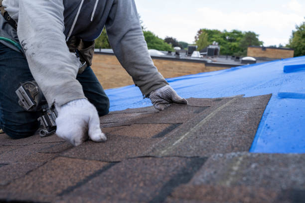 Best Flat Roof Repair Services  in Latrobe, PA